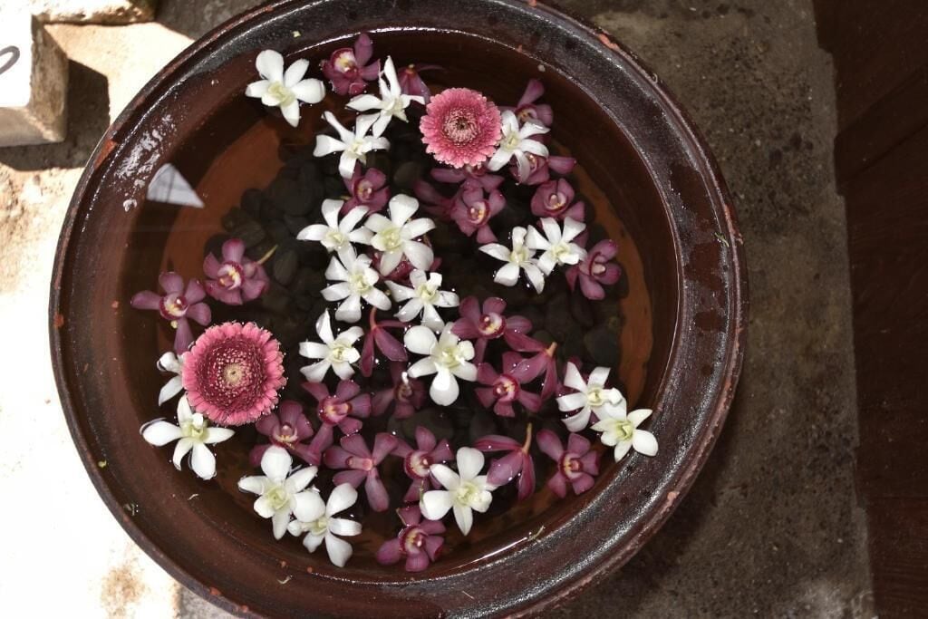 En terrakotta skål fyldt med vand og blomster.