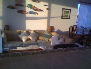 Smart TV, DVD player, books, video library