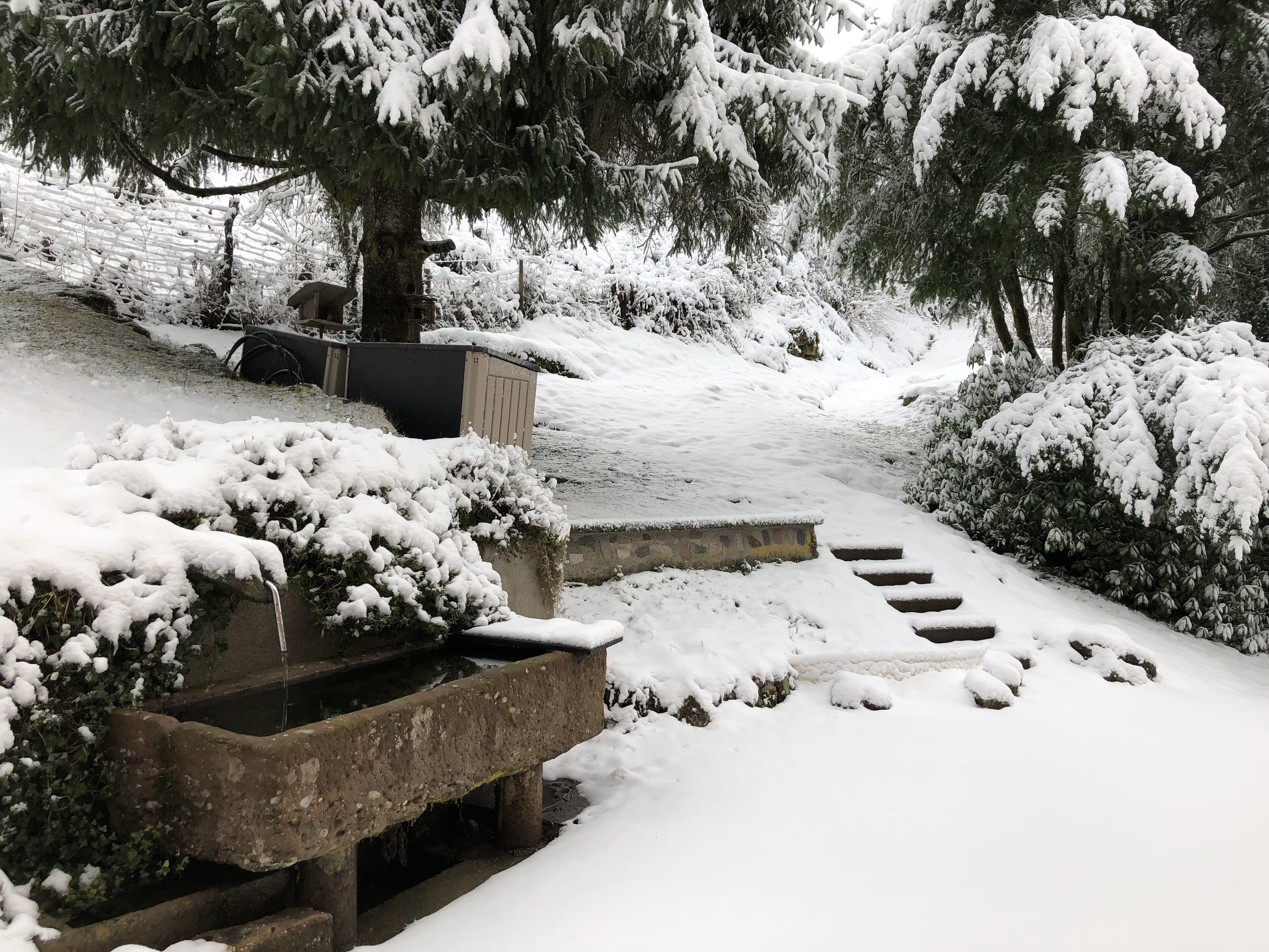 Enceinte de l’hébergement