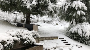 Un sendero cubierto de nieve que lleva a un espacio con bancos de piedra y un pequeño edificio, rodeado de árboles cargados de nieve.