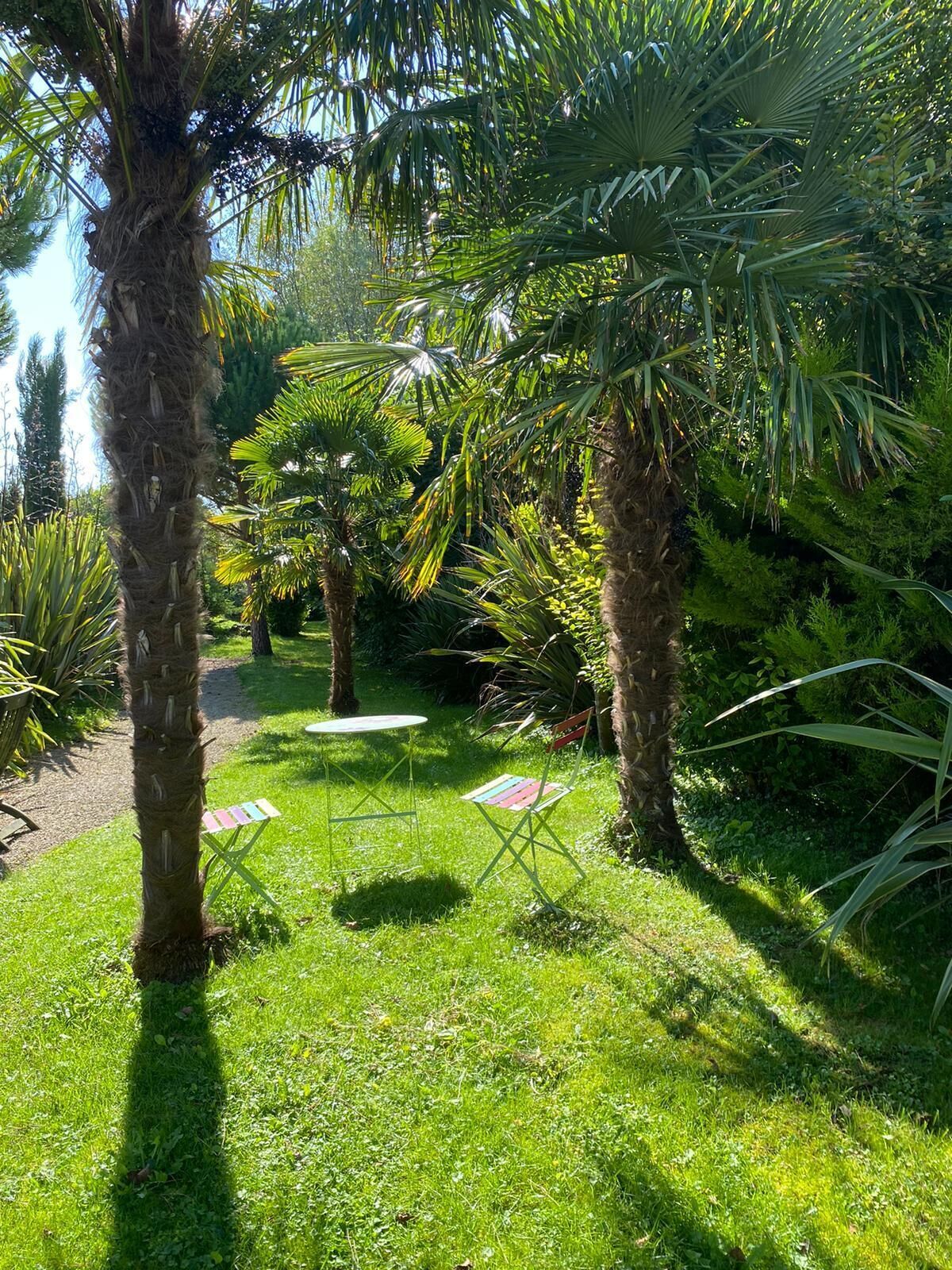 Ein üppiger Garten mit Palmen, einem kleinen runden Tisch und zwei bunten Stühlen.