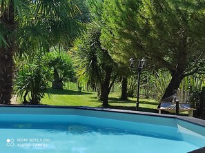 Une piscine entourée d’une végétation luxuriante et un hamac.