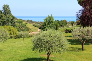Property grounds - 3 rooms sea view on the French Riviera 5 minutes from the sea (Villeneuve-Loubet)