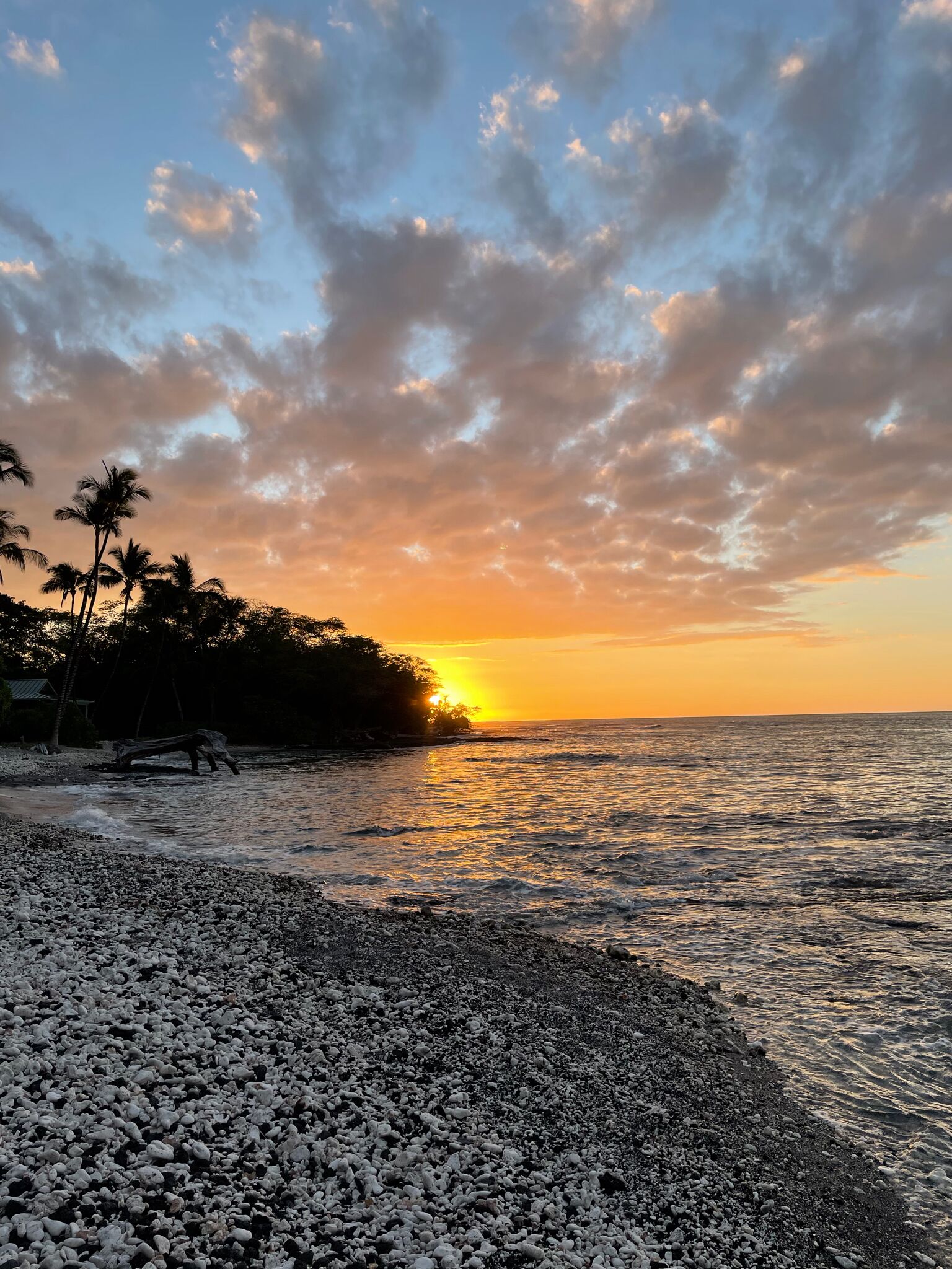Ein Strand mit Kieselsteinen, Palmen und einem Sonnenuntergang über dem Meer.