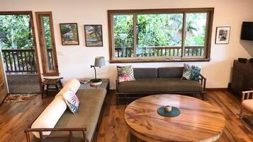 Smart TV, ping pong, books, stereo