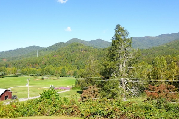View from the deck.