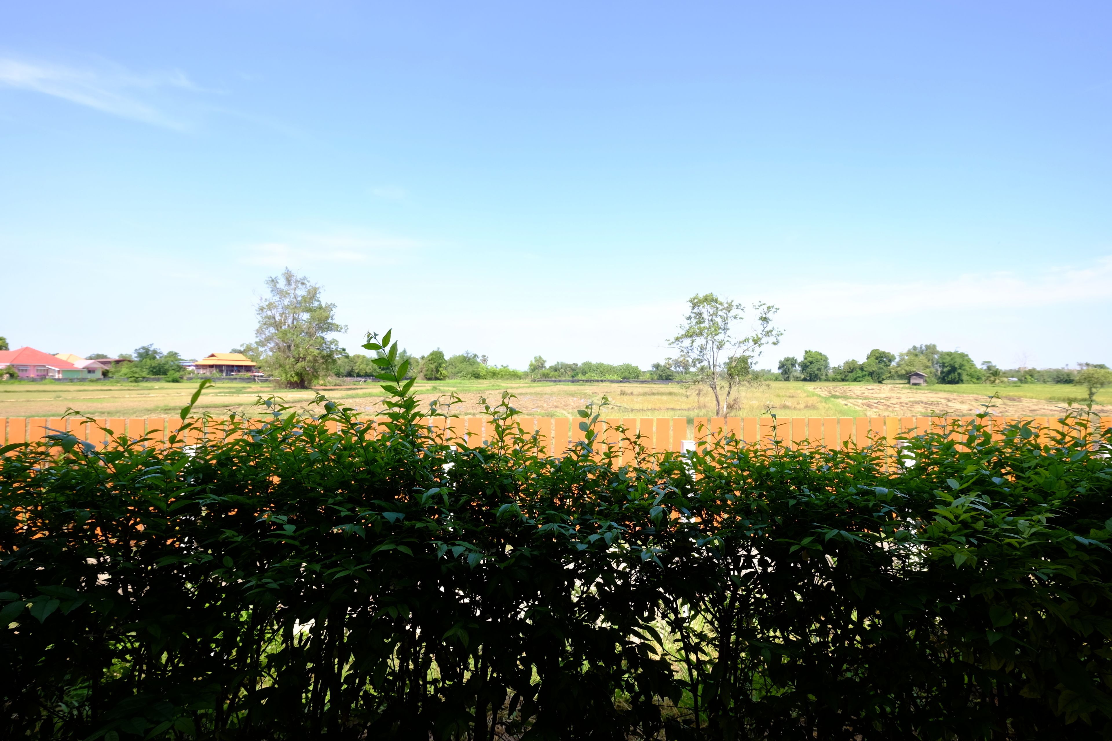 A rural landscape with fields, trees, and a few buildings in the distance.