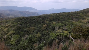 A mountainous landscape with dense forest. - Patana holiday home (Kotapola)