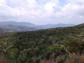 Exterior - Patana holiday home (Kotapola)