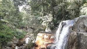 A waterfall cascading over rocks in a forested area. - Patana holiday home (Kotapola)