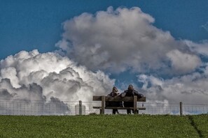 Imagen sin descripción, 5 de 31, botón