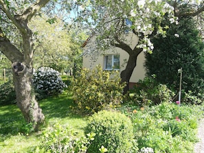 A garden with a variety of plants and trees, a house with a window, and a metal fence.