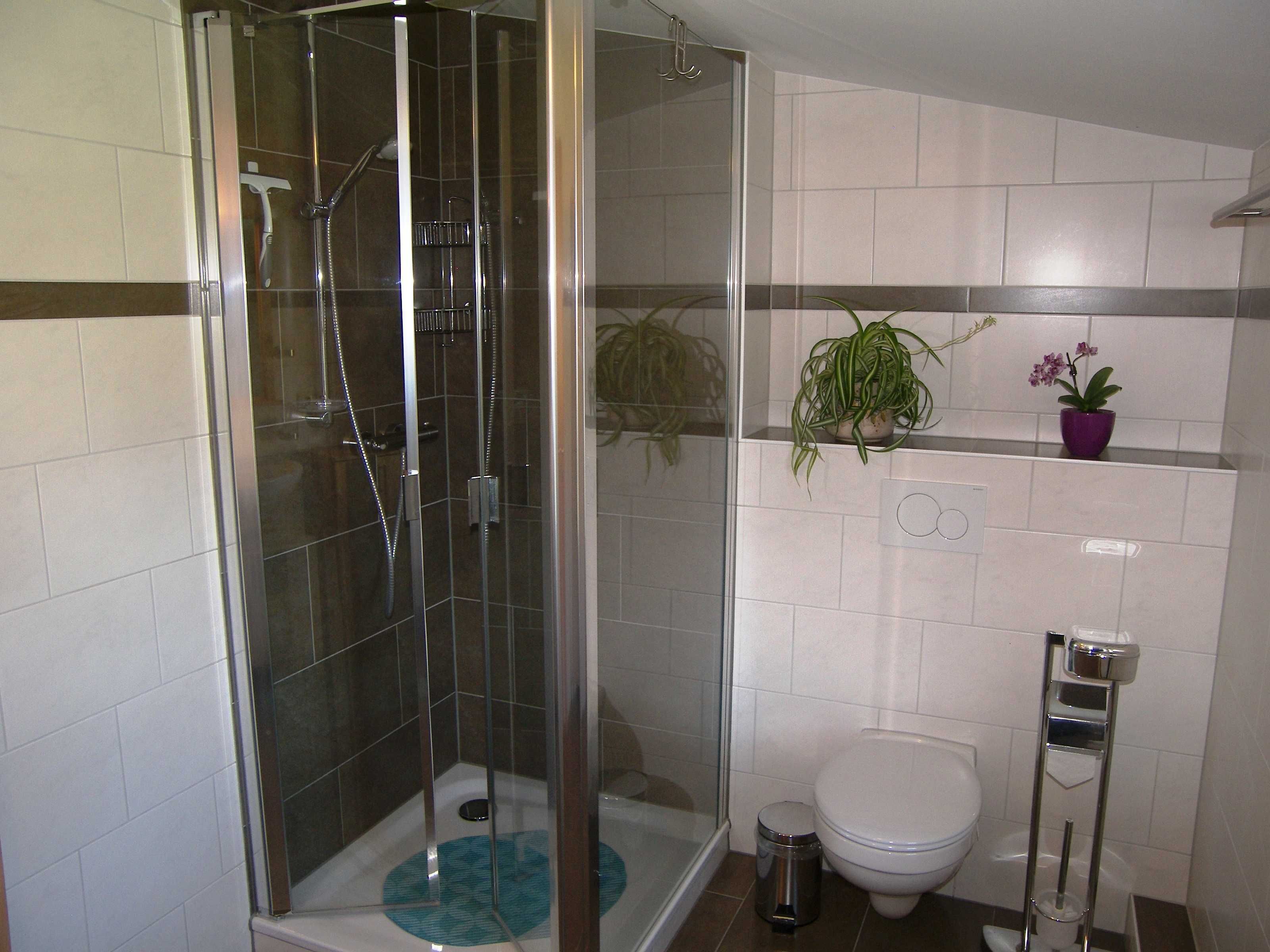 Ein modernes Badezimmer mit einer Duschkabine, einer Toilette und einem Waschbecken.