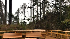Un pontile in legno con panche e ringhiere, circondato da alberi alti.