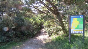 Segnale di cartello per l'evacuazione in caso di tsunami, accanto a un sentiero sterrato che attraversa una zona boschiva.