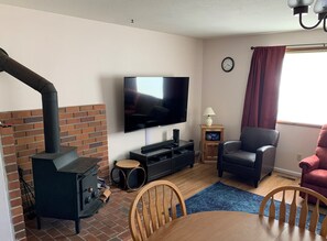 Smart TV, fireplace, DVD player, video library