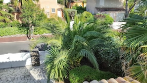 A residential area with a paved driveway, a stone wall, and lush greenery including palm trees and shrubs.
