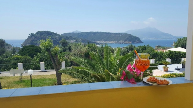 A balcony with a view of a coastal landscape, a drink, and a plate of food. - Belvedere (Procida)
