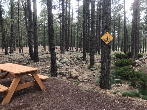 Secluded, Historic Wrigley Ranch Cabin- Pine Forest- 25 Acres Near Grand Canyon