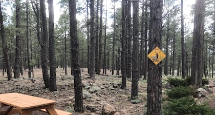 Secluded, Historic Wrigley Ranch Cabin- Pine Forest- 25 Acres Near Grand Canyon