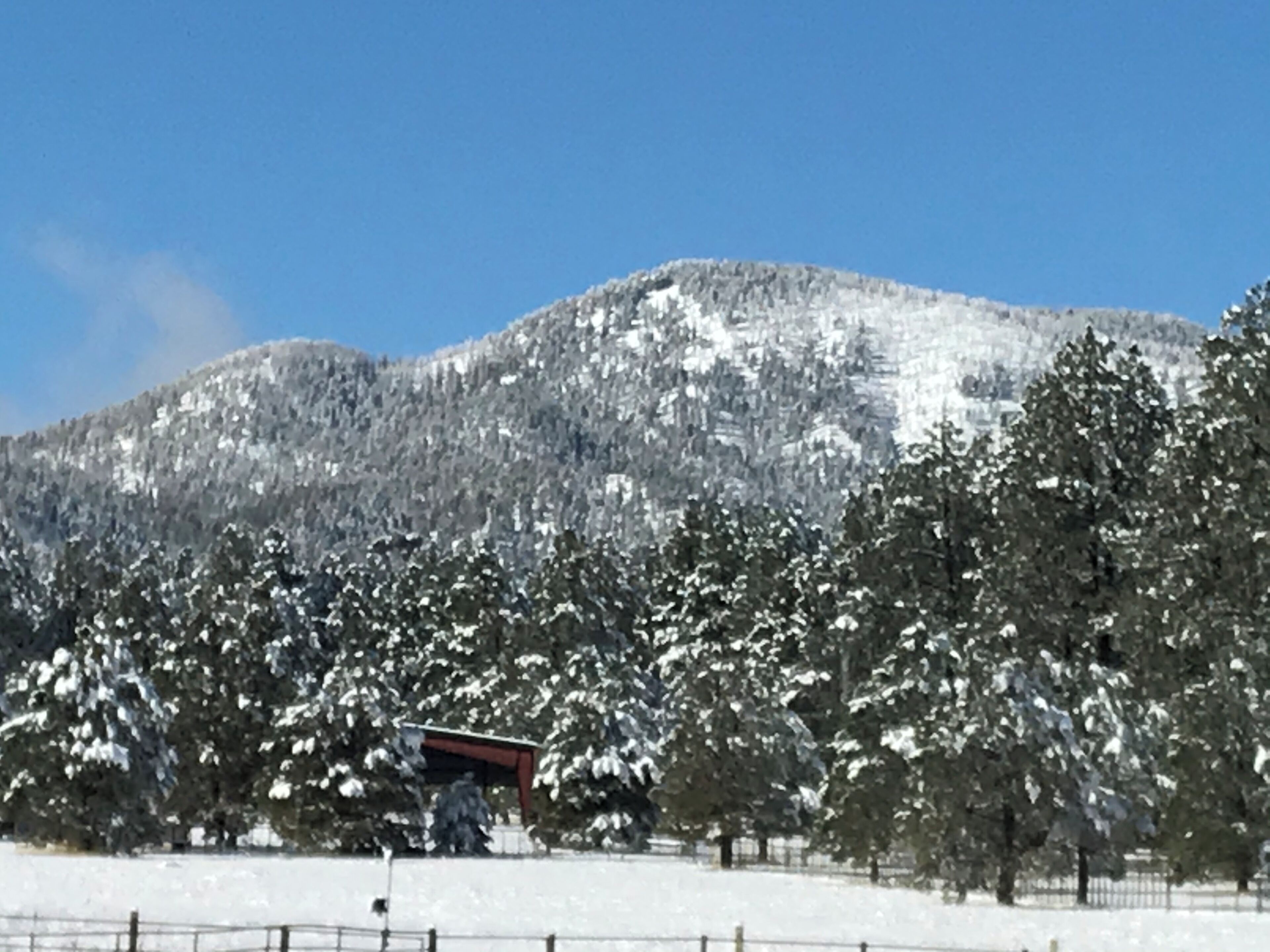 Montaña nevada con una estructura de madera en primer plano.