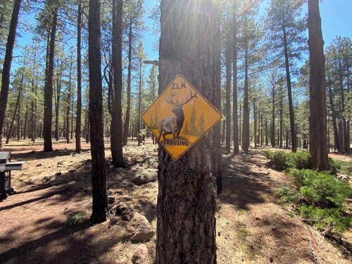 Secluded, Historic Wrigley Ranch Cabin- Pine Forest- 25 Acres Near Grand Canyon