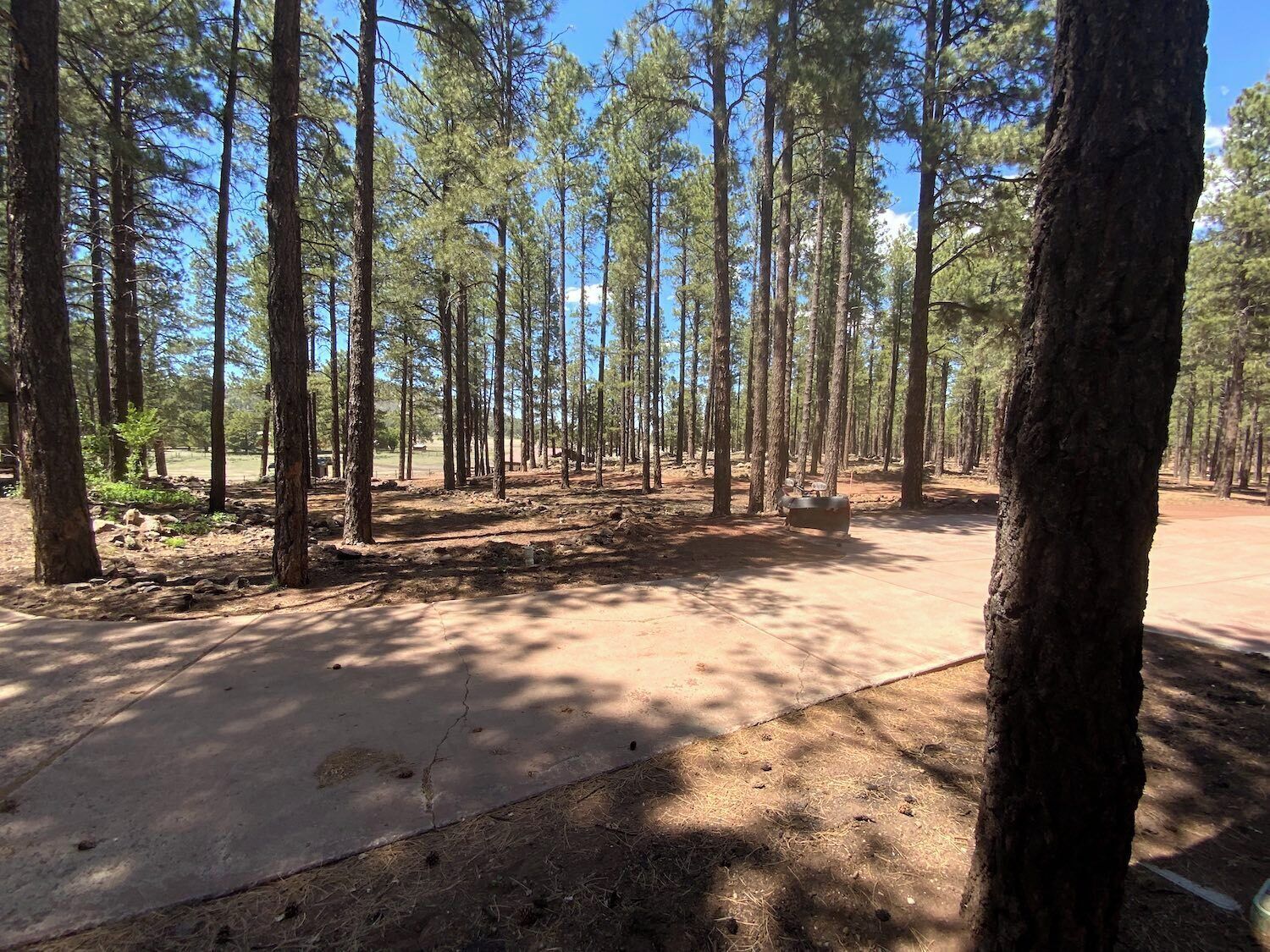 Un camping arbolado con un sendero de tierra y una zona de concreto.