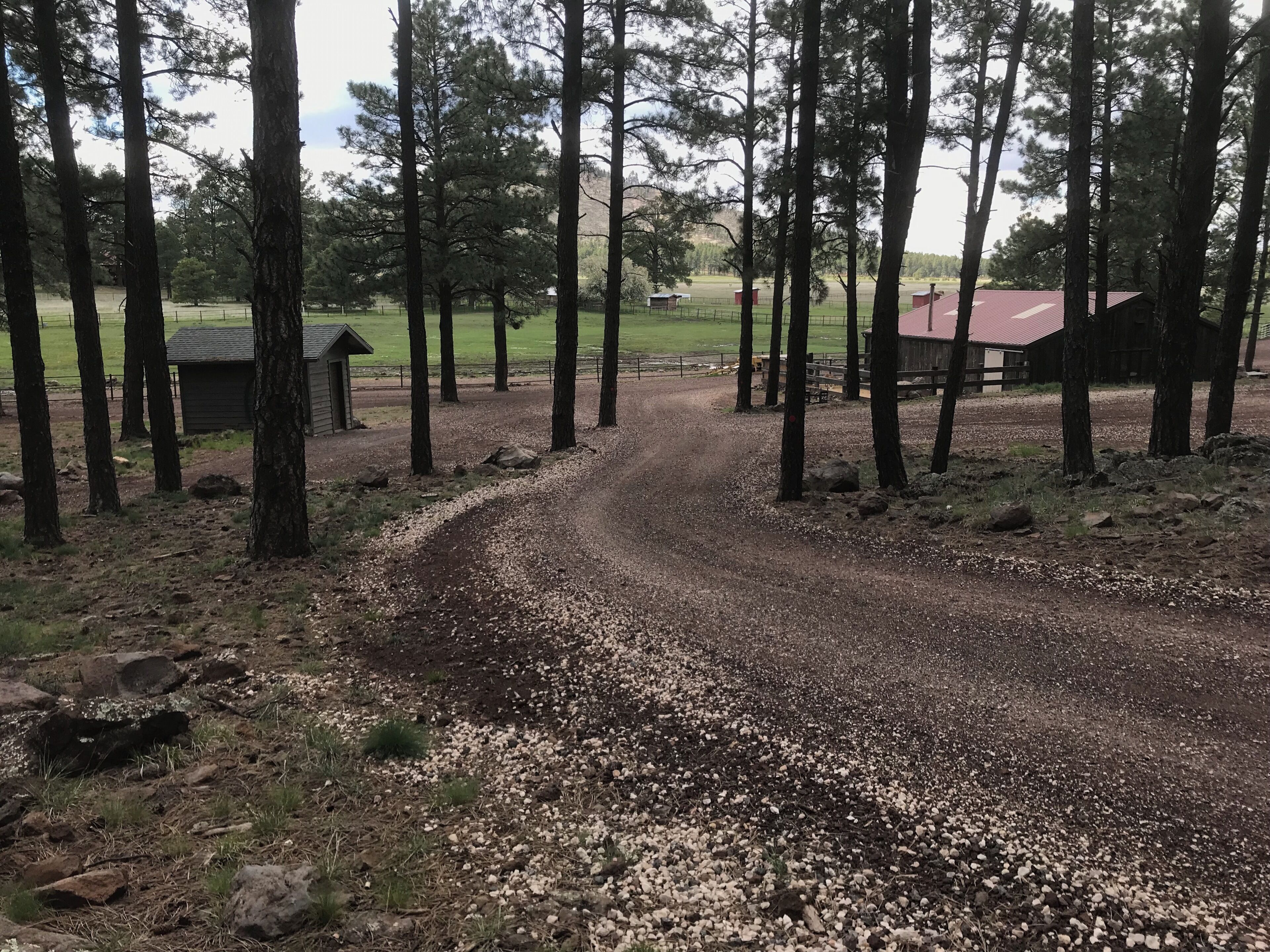 Un sendero de grava que atraviesa un área boscosa con árboles altos y un edificio pequeño a lo lejos.
