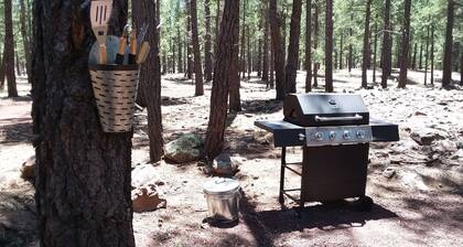 Cozy 1b Cottage-Elk están de vuelta! Hípica, caminata / caminata, barbacoa de gas, fogata, ¡Más!