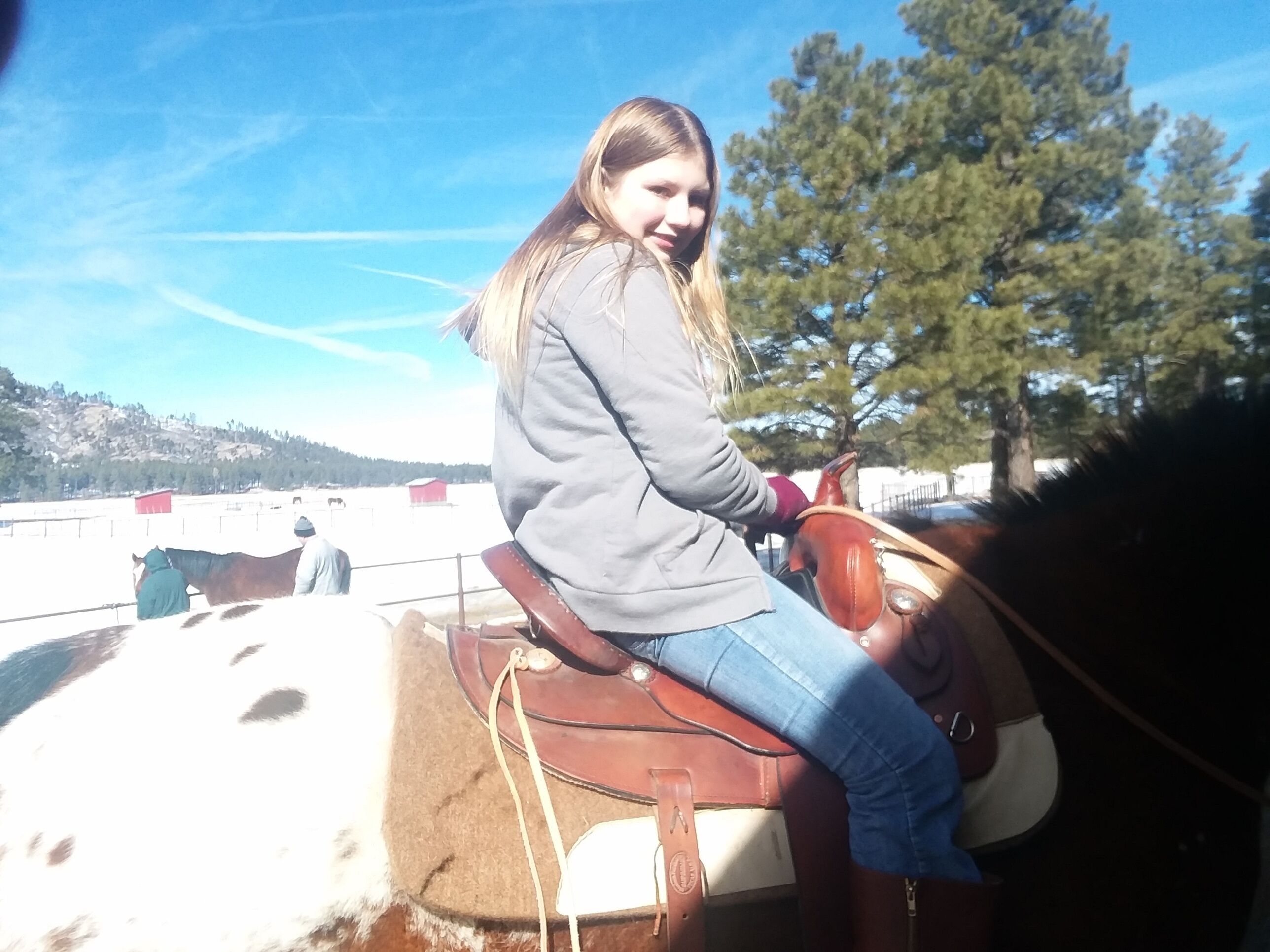 Eine Person reitet ein Pferd in einer Reithalle im Freien, mit Bäumen und einer entfernten Landschaft.