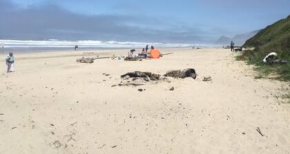 3 Bedroom Haven By The Sea w/ beautiful ocean views & 2 Masters Sleeps 10