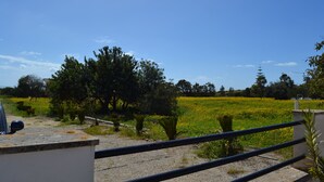Blick auf eine ländliche Landschaft mit einem Feld voller gelber Blumen, Bäumen und blauem Himmel.