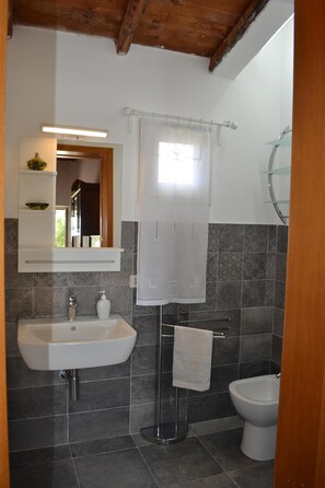 Shower, hair dryer, bidet, towels