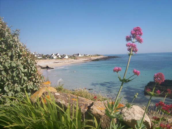 Plage, chaises longues