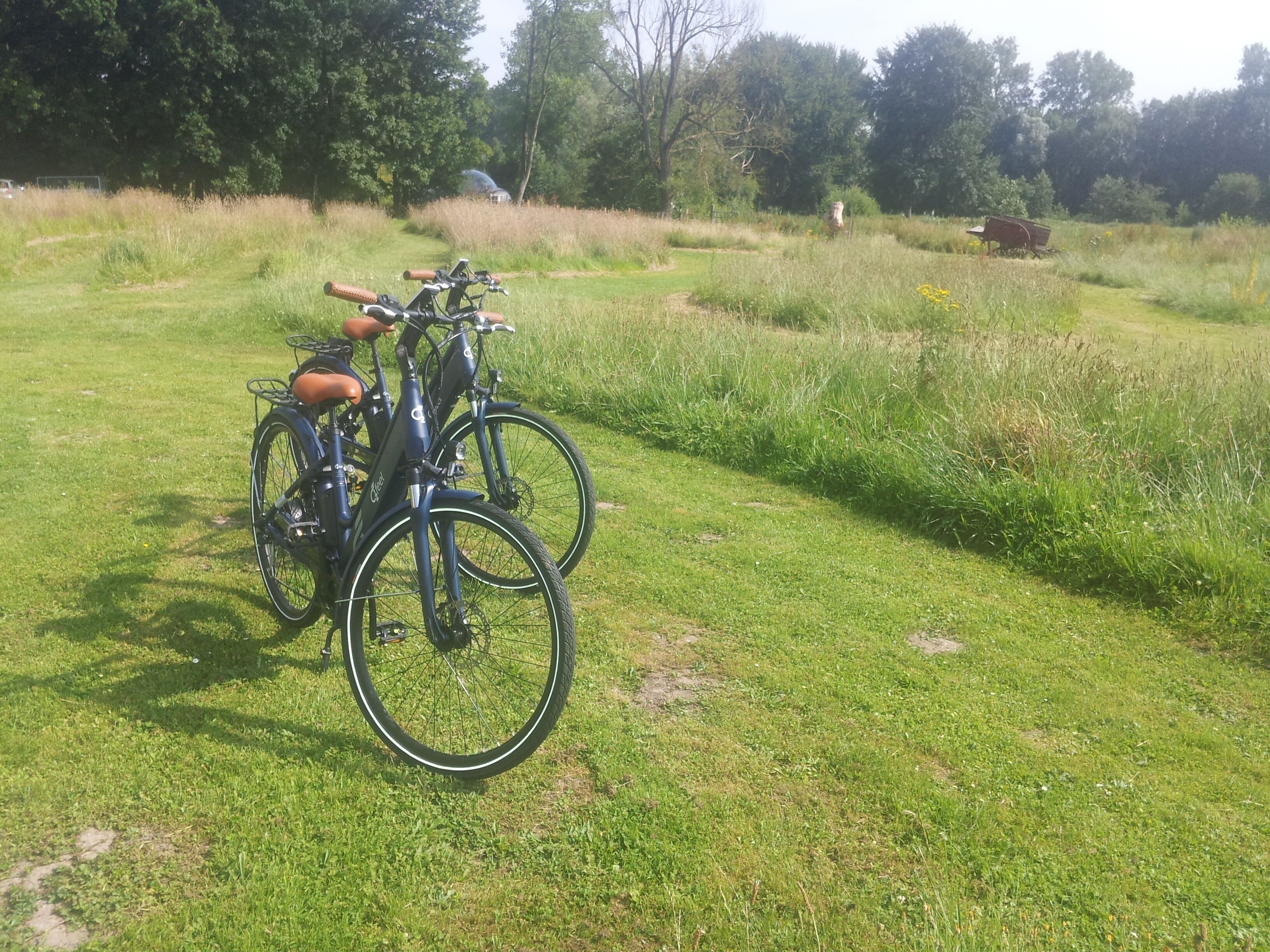 Ein grünes Feld mit zwei abgestellten Fahrrädern.