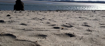 Doll's house VUE nature, wood fire, bike rental