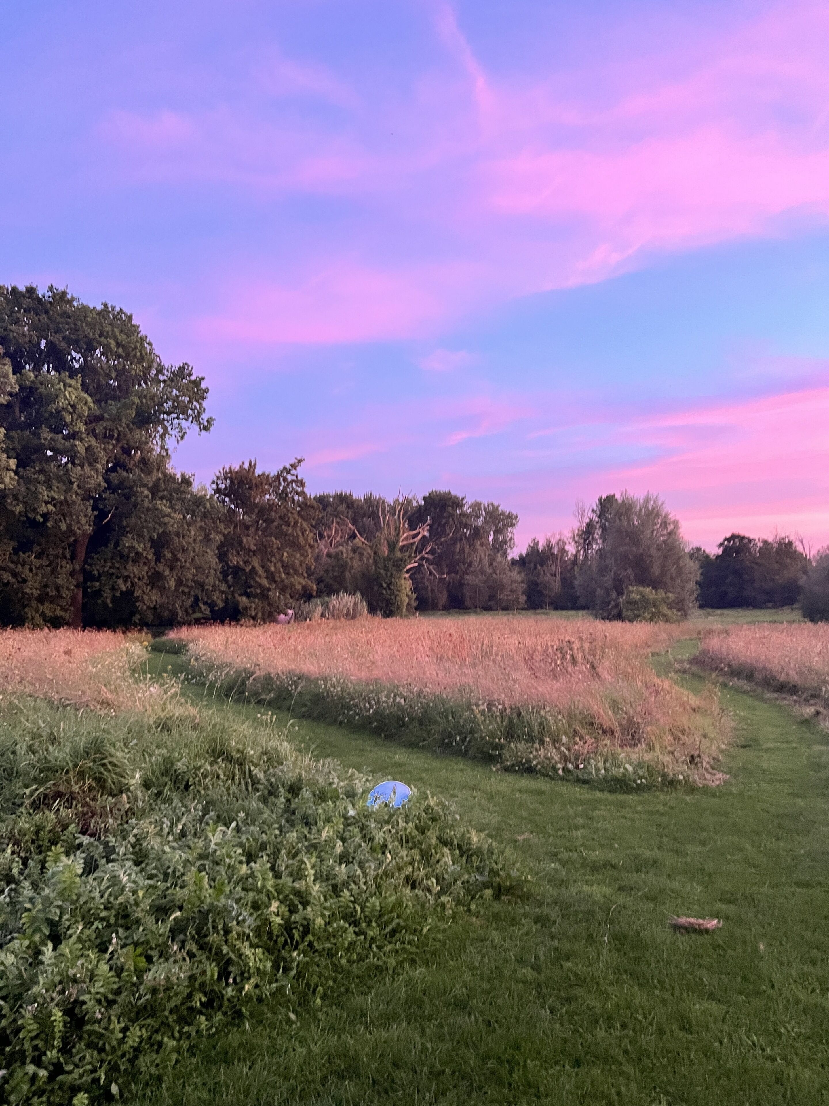 Un campo cubierto de césped con árboles y un cielo despejado.