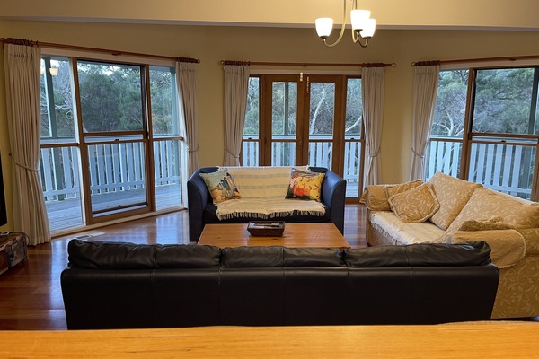 Smart TV, DVD player, books, video library