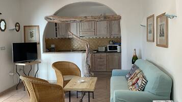 電視、DVD 播放機