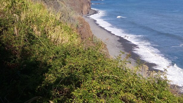 Paesaggio costiero con cielo sereno, scogliera rocciosa con vegetazione e l'oceano.