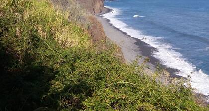 Casa Reis Refuge in Arco de São Jorge