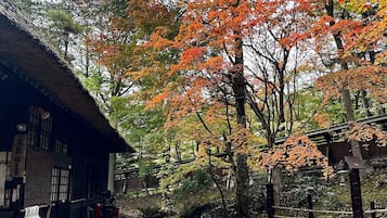 A traditional Japanese building with a thatched roof, surrounded by trees with autumn foliage.