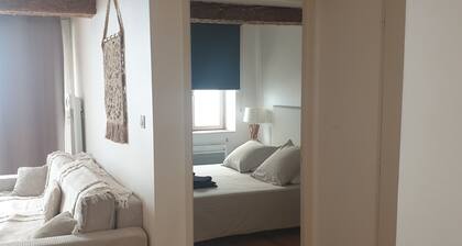 CITE de CARCASSONNE GĂźte Les 3 Tours , 99 rue Trivalle