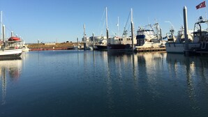A marina with several boats docked, calm water, and a clear sky. -  Fern Creek
Convenient location w/ spectacular views! (Homer)