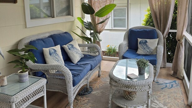 Een zonnig terras met rieten meubels, een potplant en een decoratief vloerkleed.