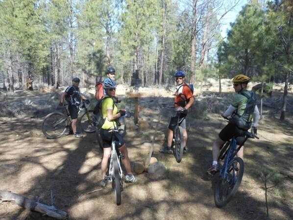 A group of cyclists in a forested area with trees and a dirt path.