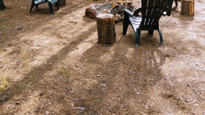 A forested area with several Adirondack chairs arranged around a central fire pit.