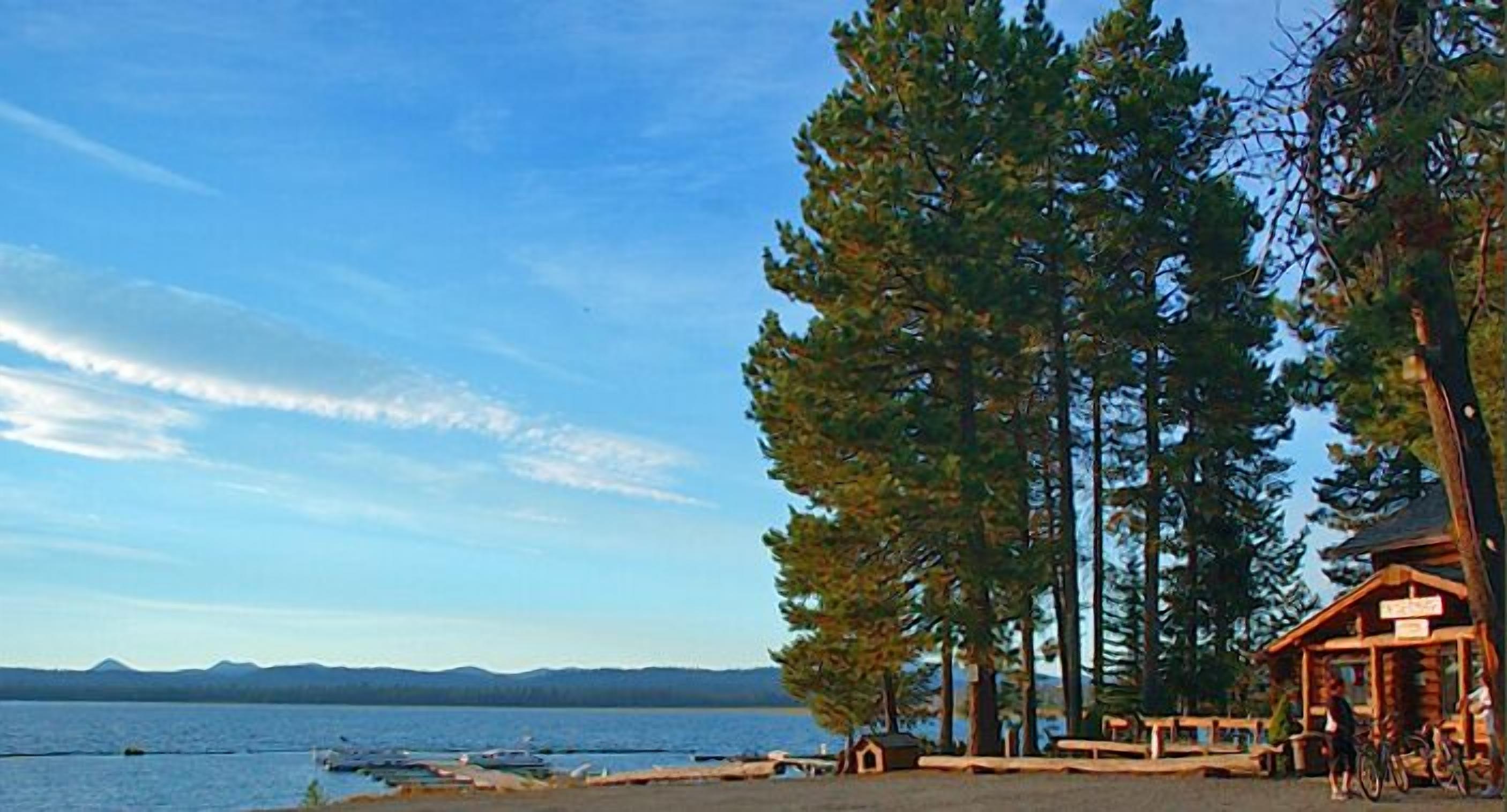 A lakeside cabin with a dock, surrounded by tall pine trees and a clear sky.
