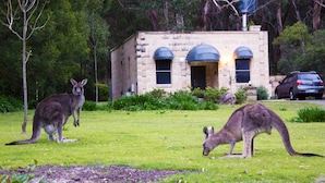 A building with a stone facade and arched windows, surrounded by a grassy area with kangaroos. - Marwood Villas (Halls Gap)