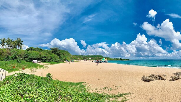 A beach with clear skies, palm trees, and a calm sea. - Snug Nine Inn (Hengchun)
